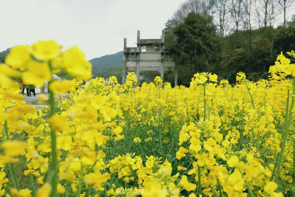 微信图片_20180321183448