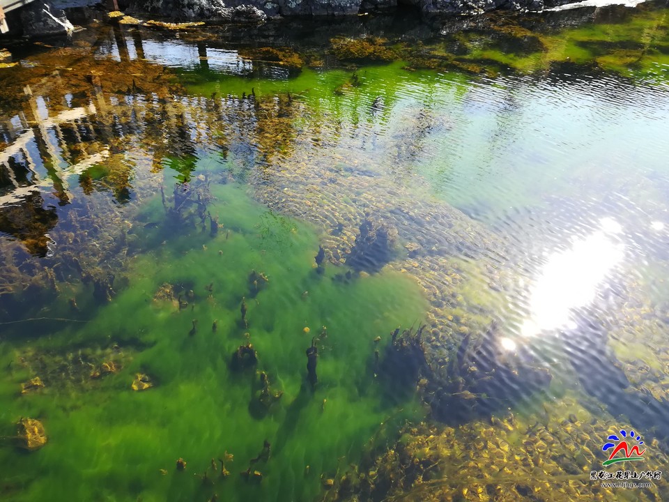 微信图片_20180406140708