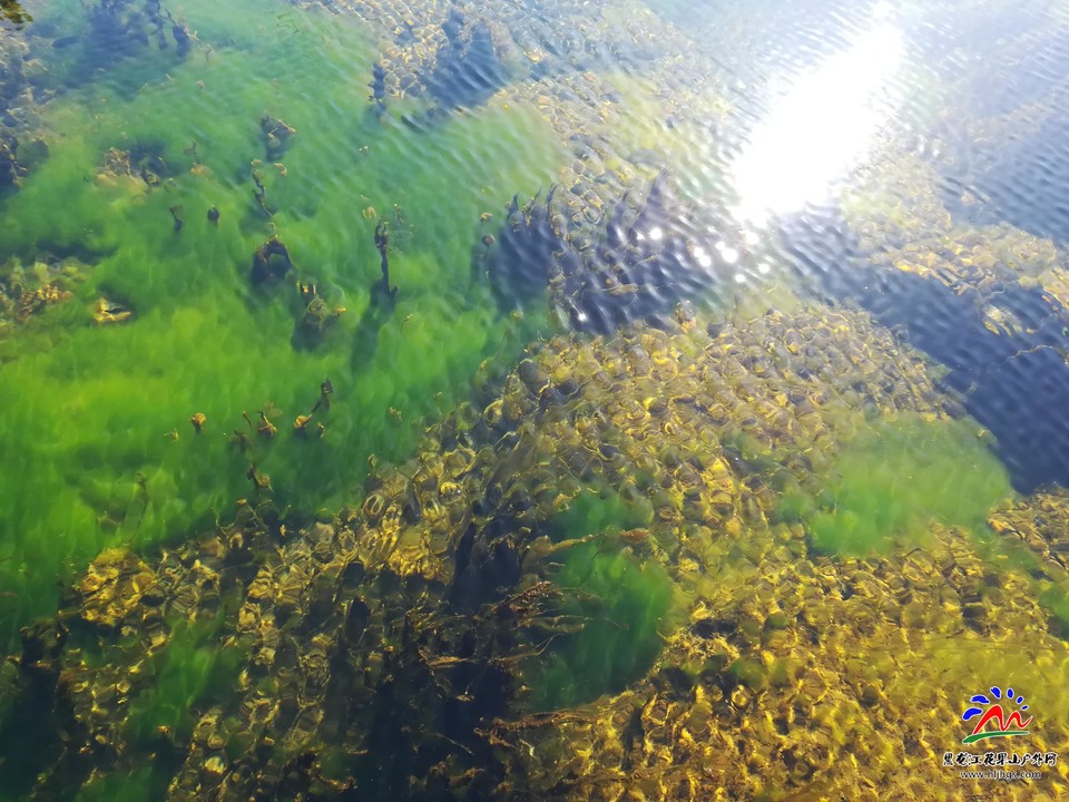 微信图片_20180406140735