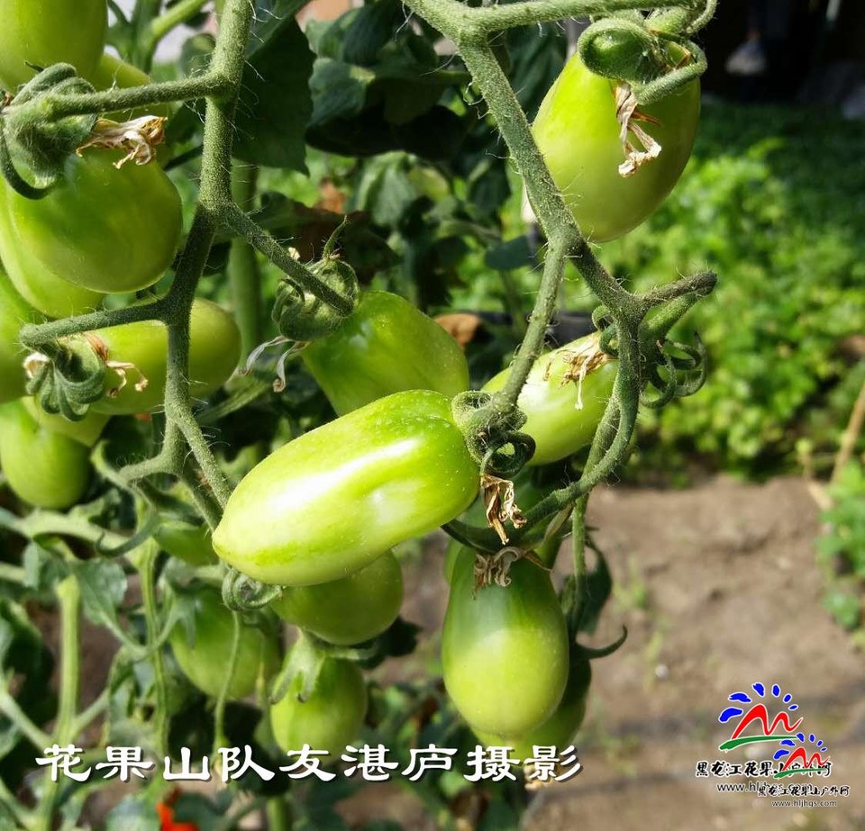 微信图片_20180407104510庐摄影1