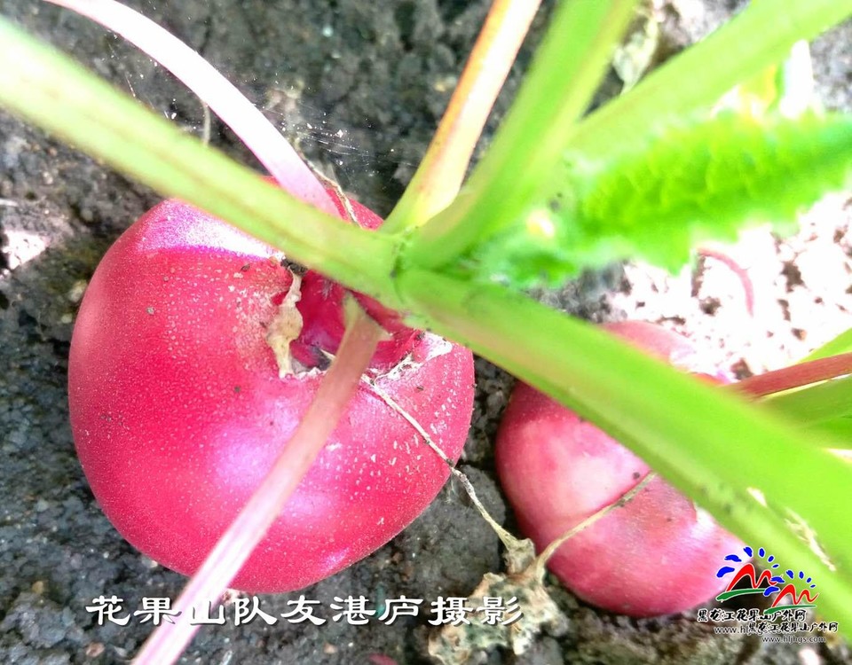 微信图片_20180407104517湛庐摄影1