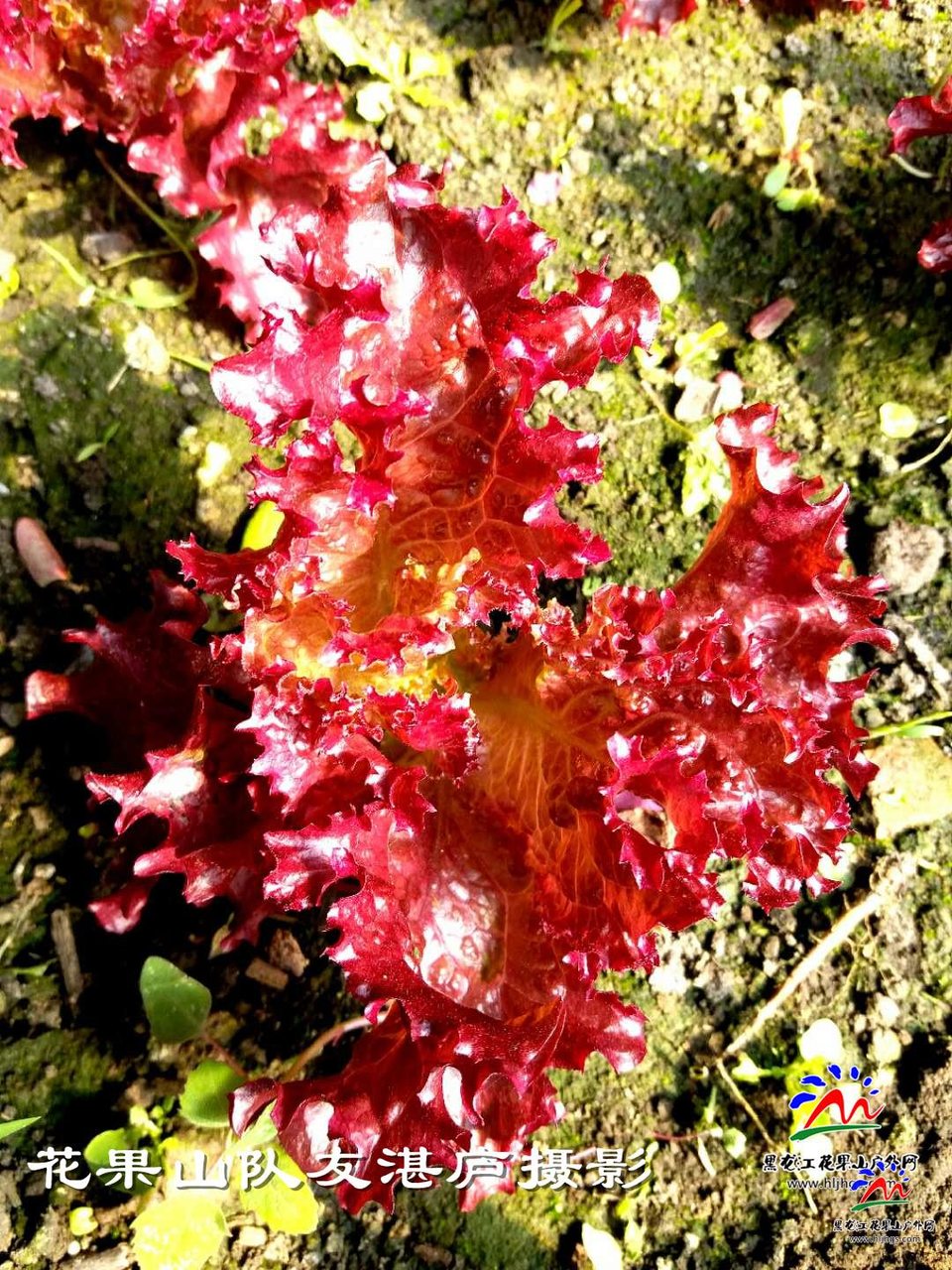 微信图片_20180407104517湛庐摄影4