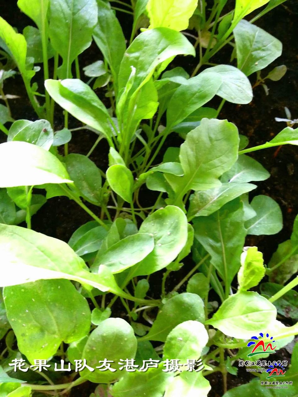 微信图片_20180407104518湛庐摄影1