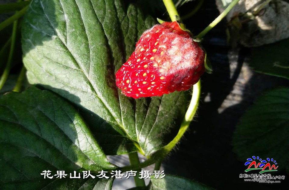 微信图片_20180407104519庐摄3