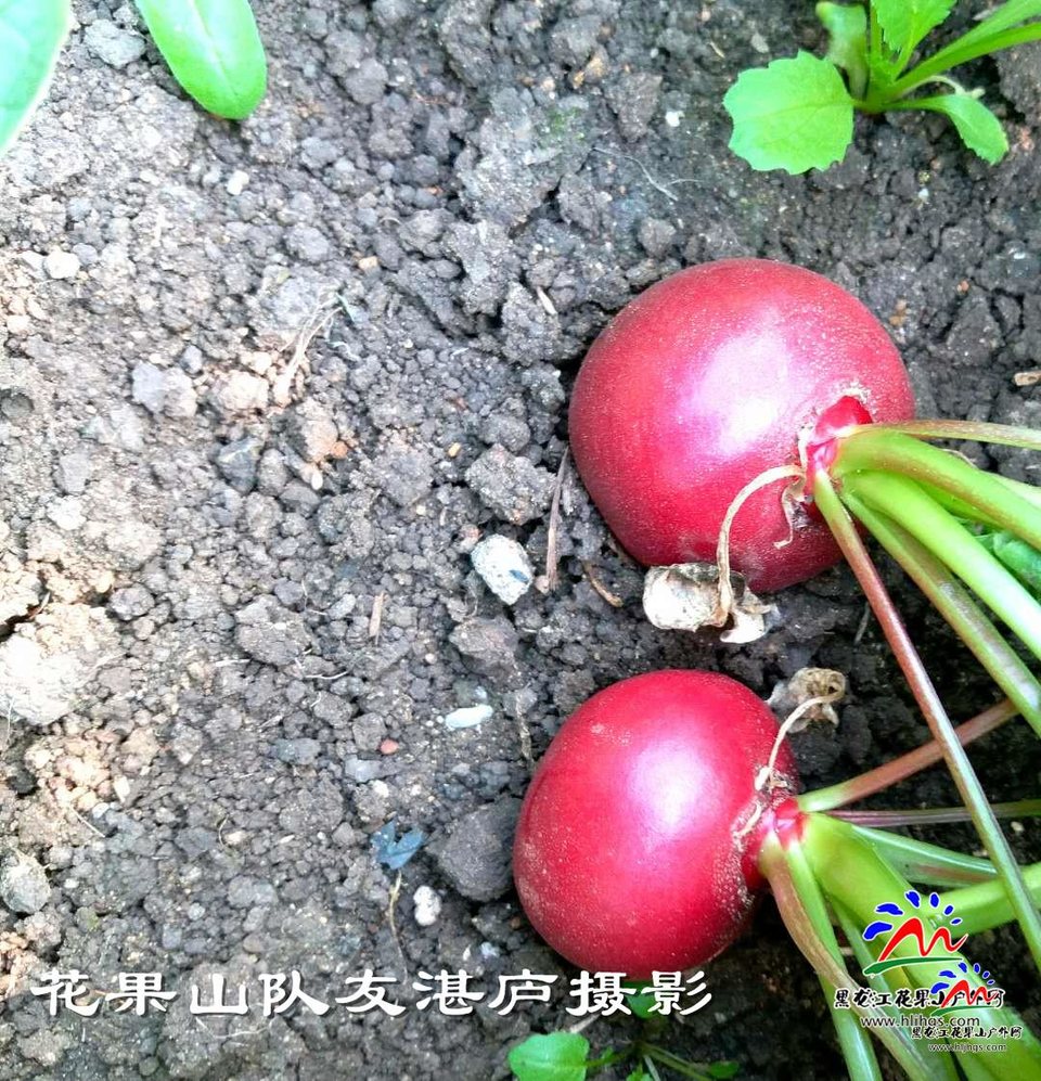 微信图片_20180407104519庐摄影1