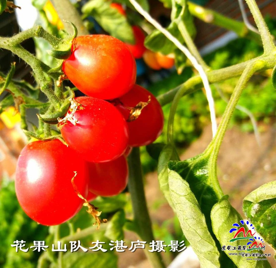 微信图片_20180407104519庐摄影2