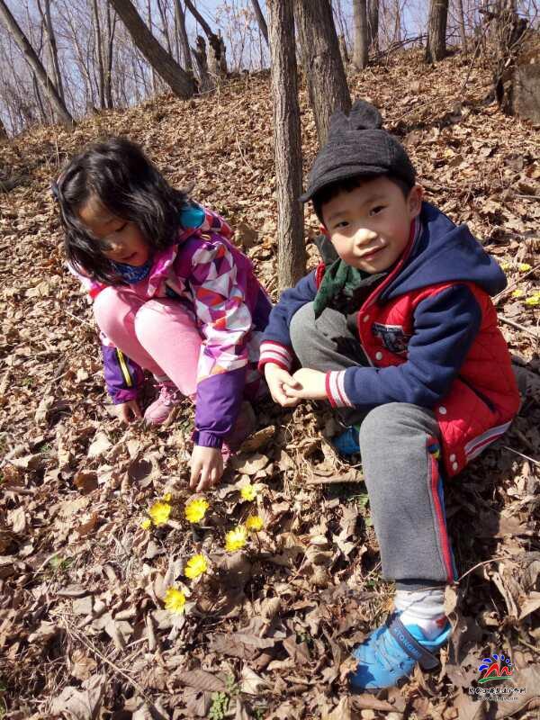 微信图片_20180407112423