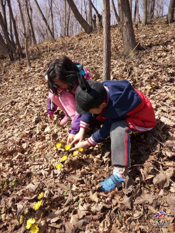 微信图片_20180407112427