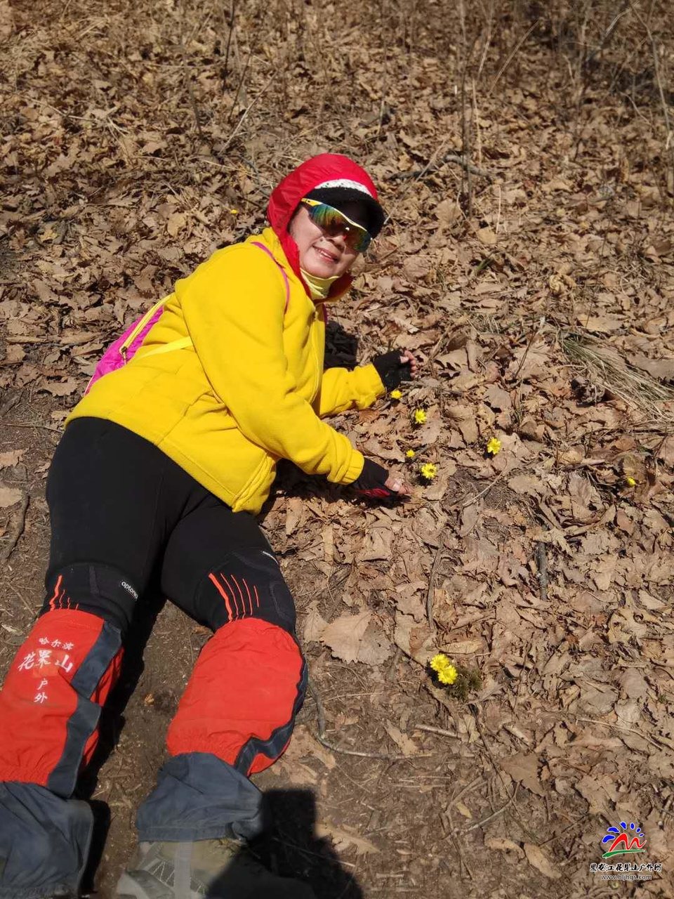 微信图片_20180407162053