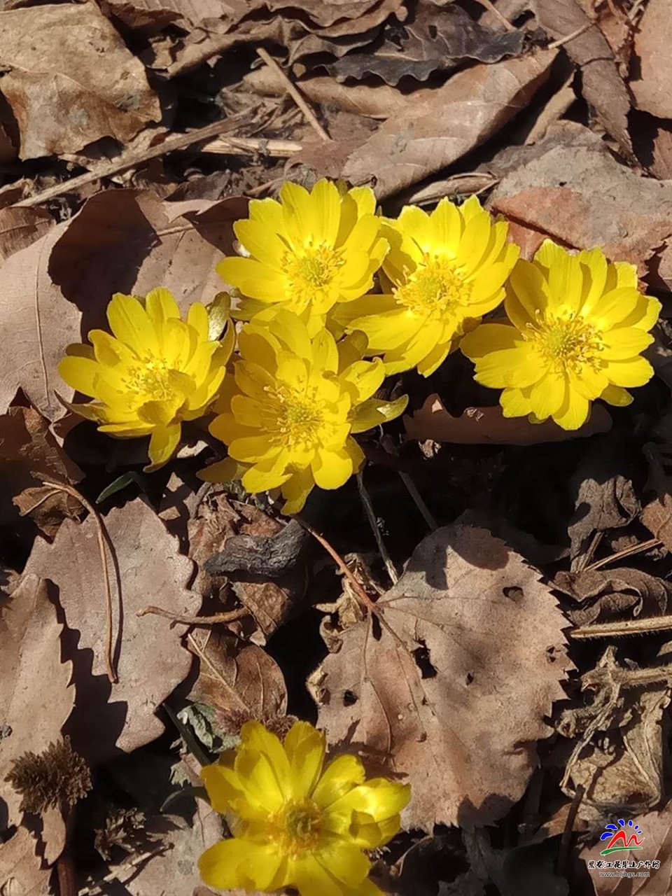 微信图片_20180407162058