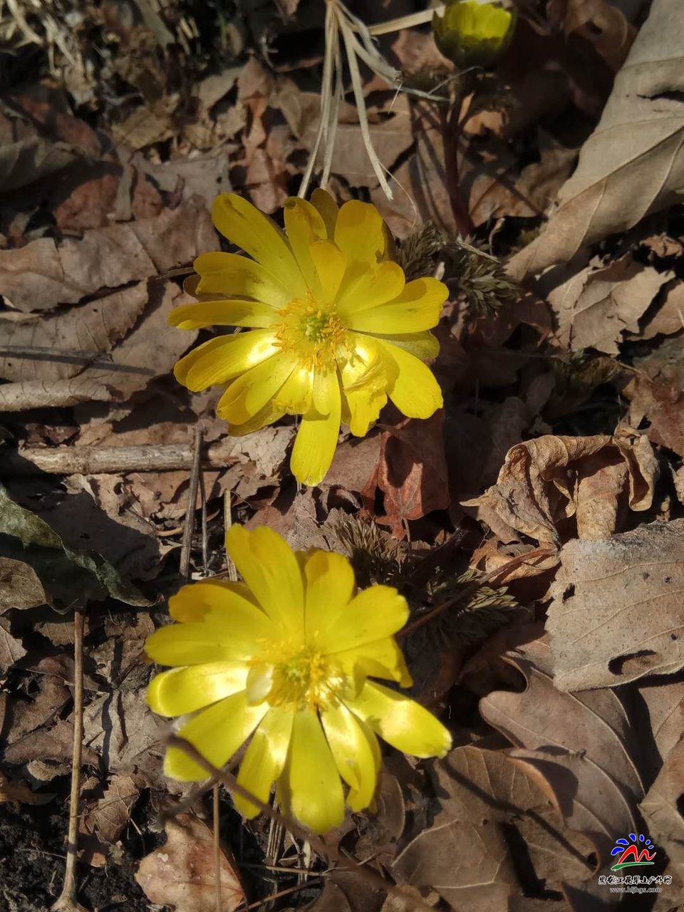 微信图片_20180407162108