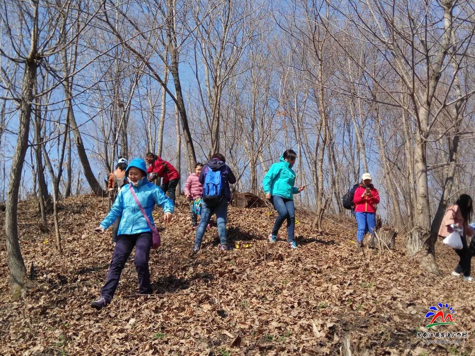 微信图片_20180407162124