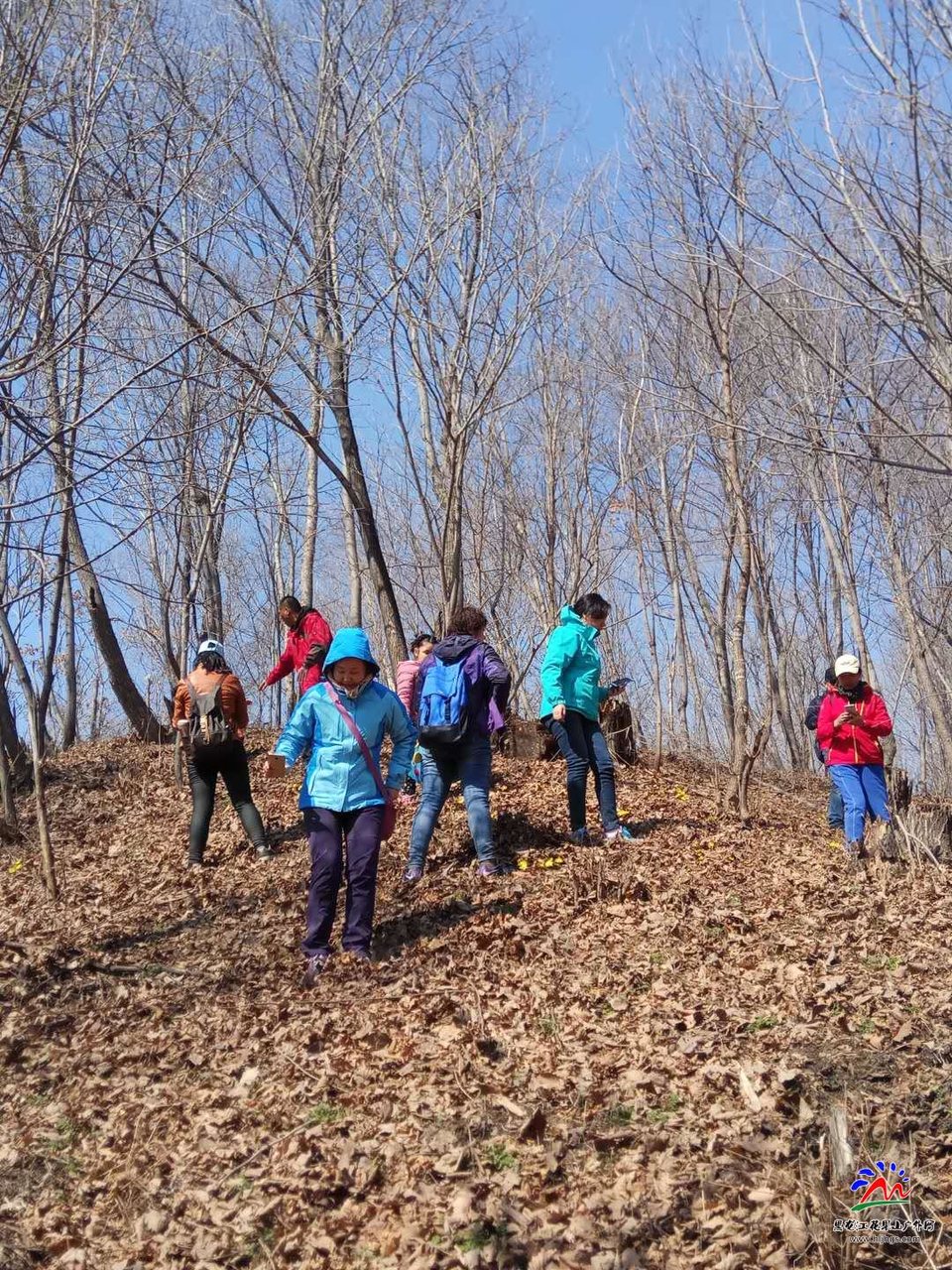 微信图片_20180407162129