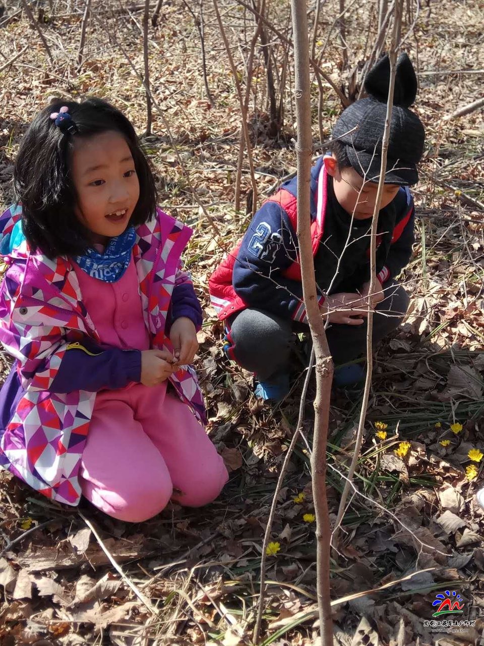 微信图片_20180407162134