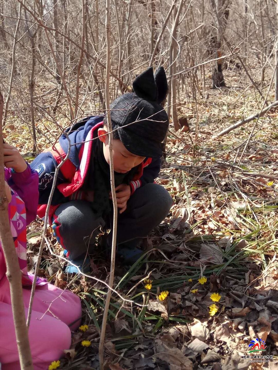 微信图片_20180407162145