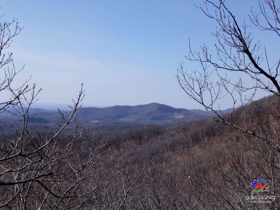 微信图片_20180407162211