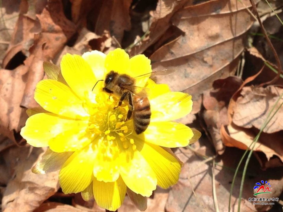 微信图片_20180407163647队友铭实拍