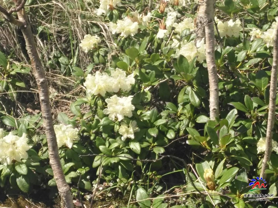 微信图片_20180519103932