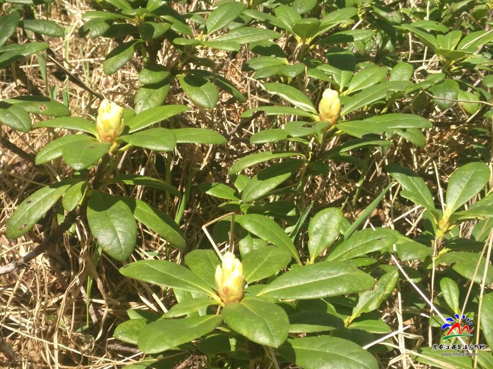 微信图片_20180519103935