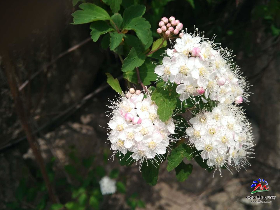 微信图片_20180513173848