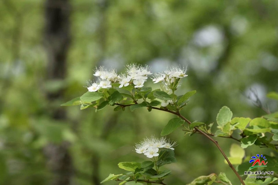 微信图片_20180513210529