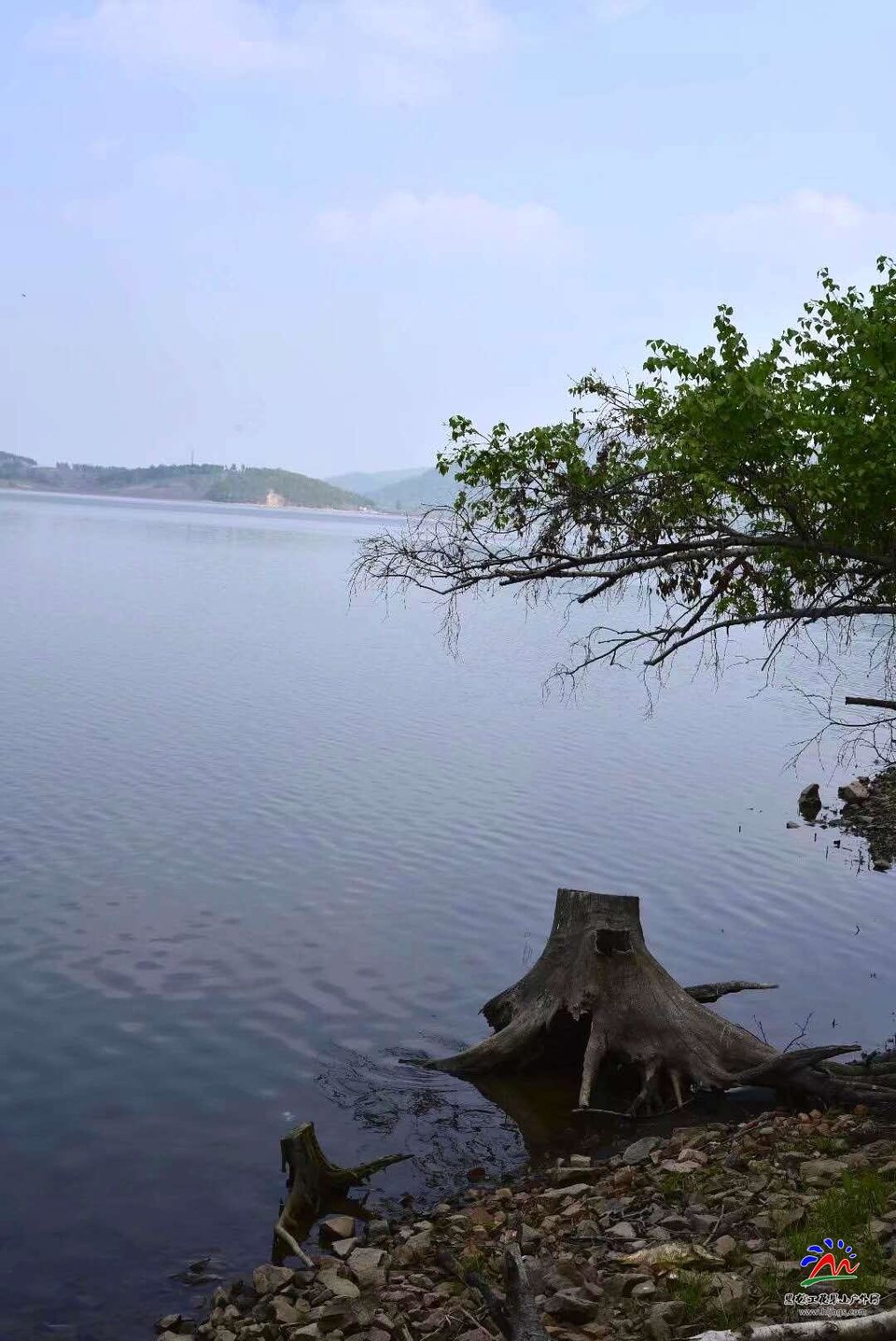 微信图片_20180513210548