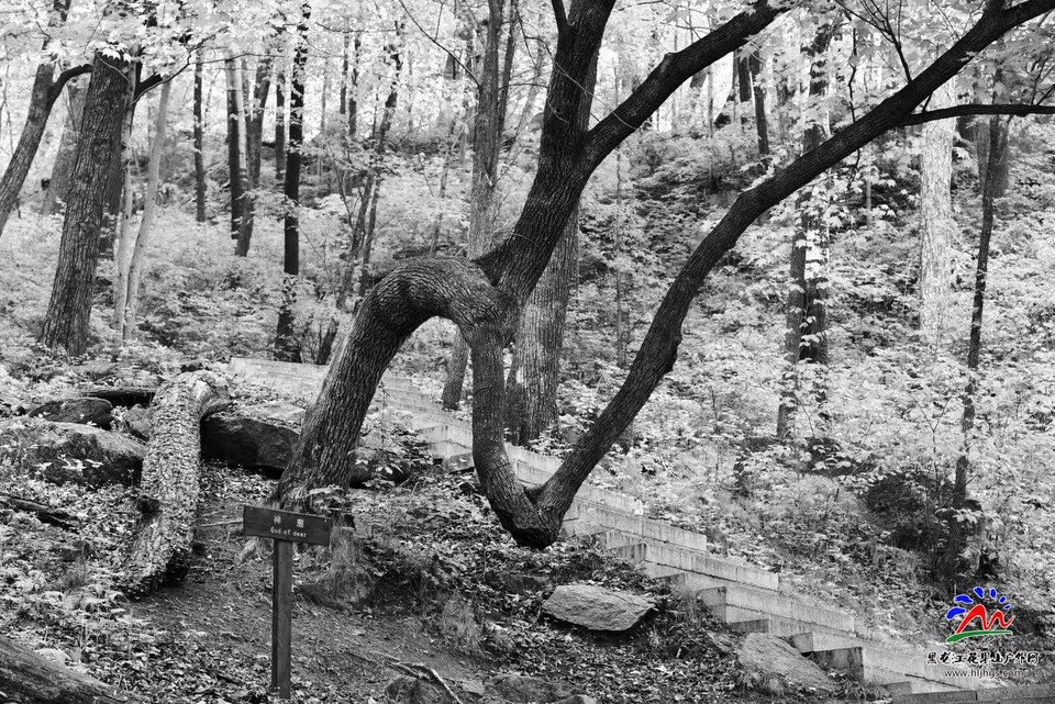 微信图片_20180513210608