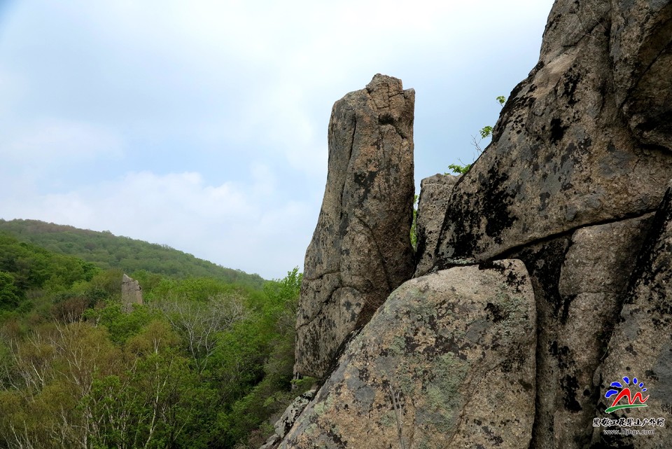 微信图片_20180513215621