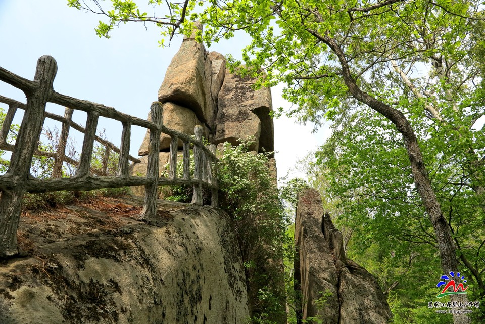 微信图片_20180513215629