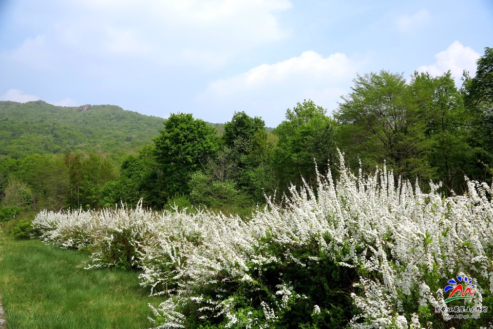 微信图片_20180513215637