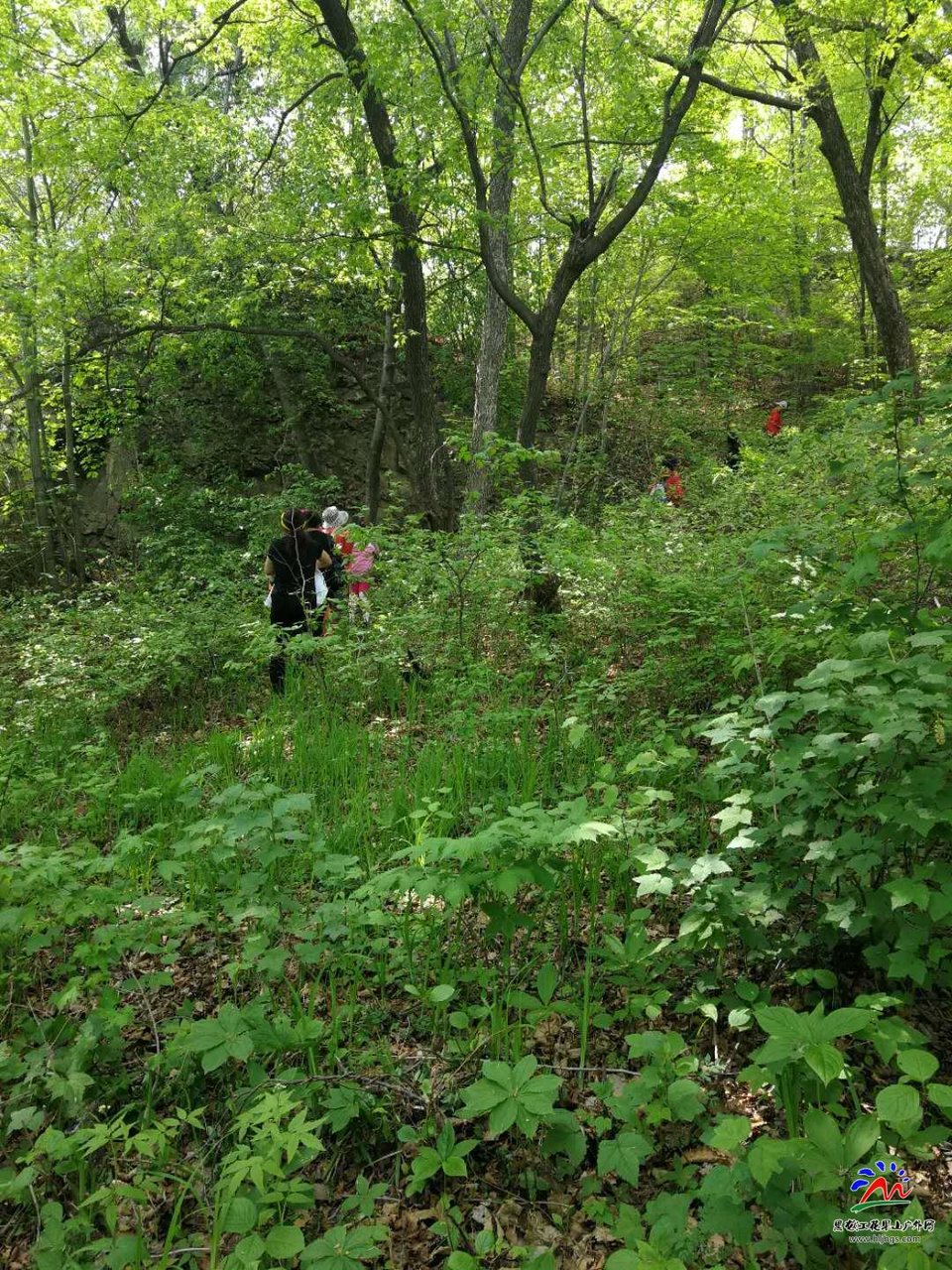 微信图片_20180513220753