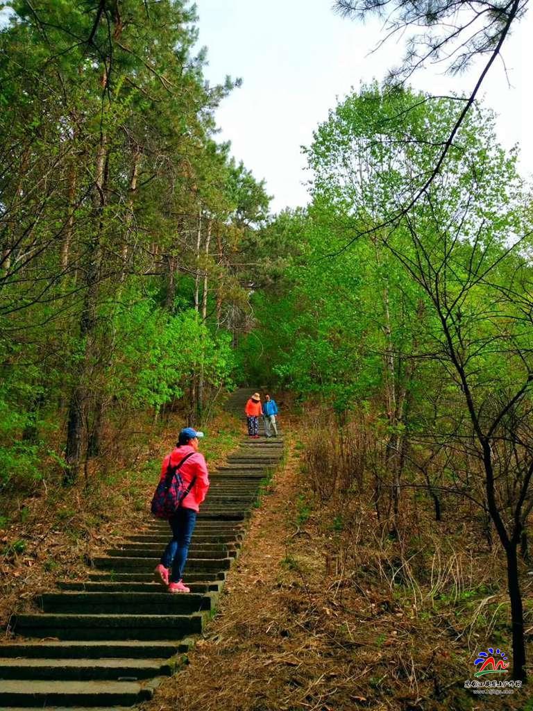 微信图片_20180513195627