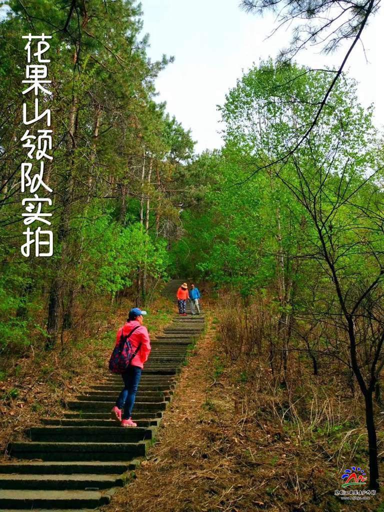 微信图片_20180513195627_副本