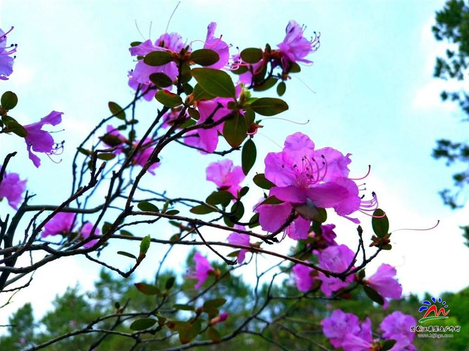 微信图片_20180513195632