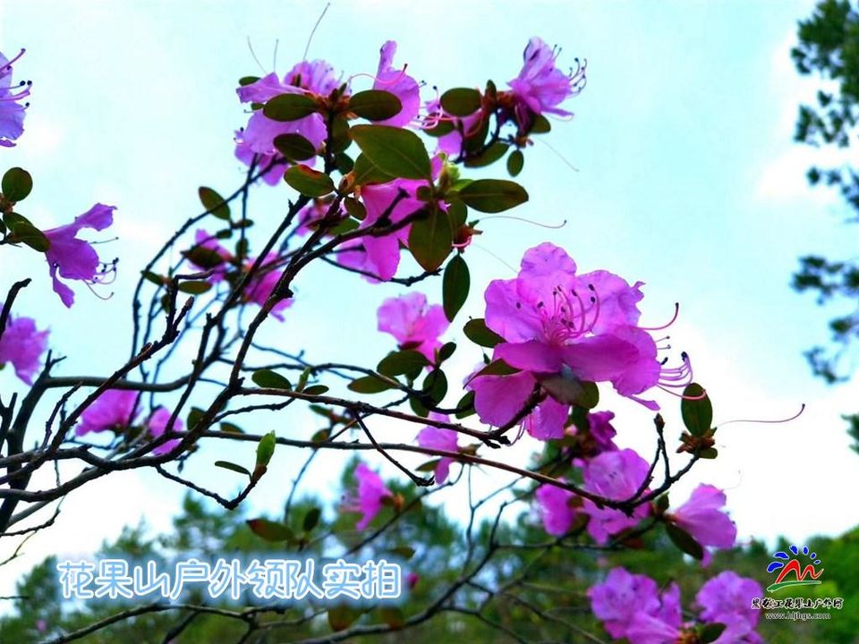 微信图片_20180513195632_副本