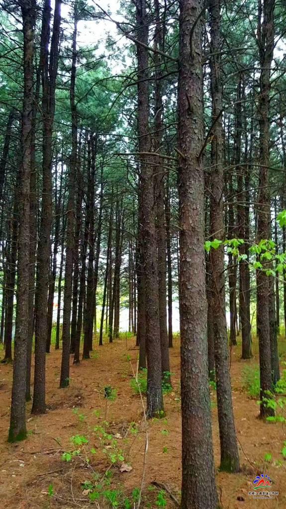 微信图片_20180513195637