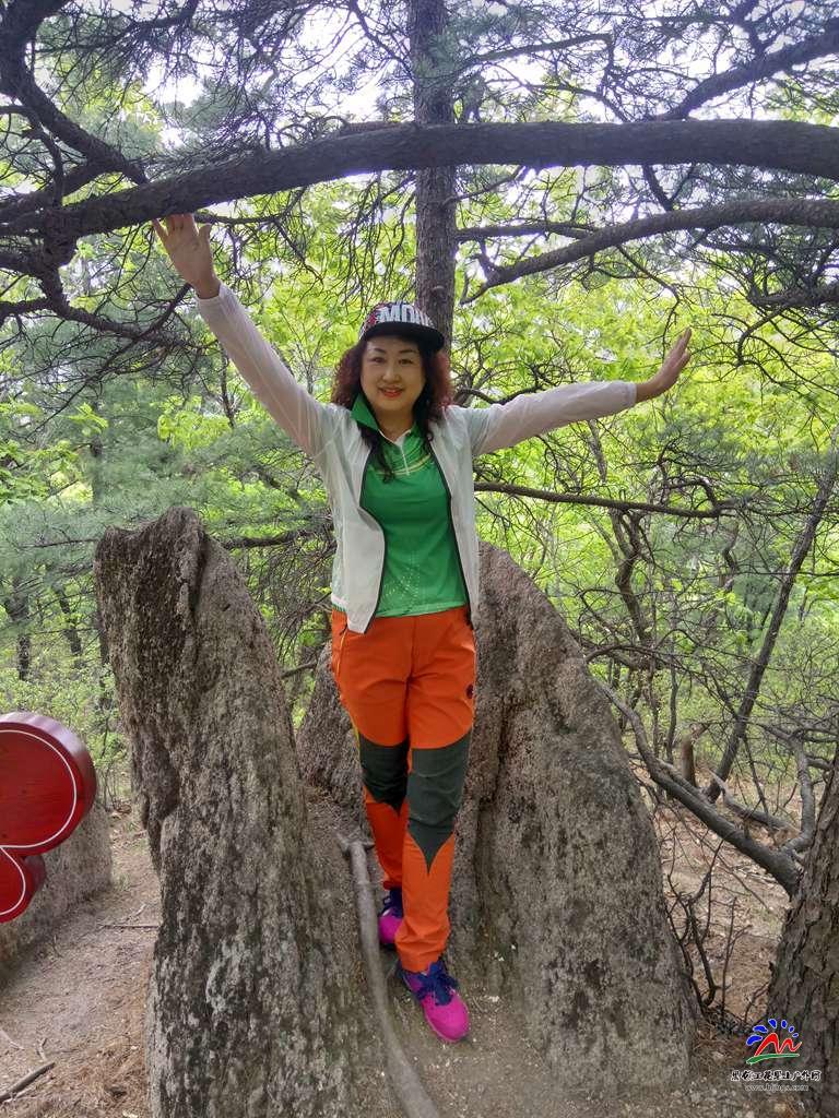 微信图片_20180513195710