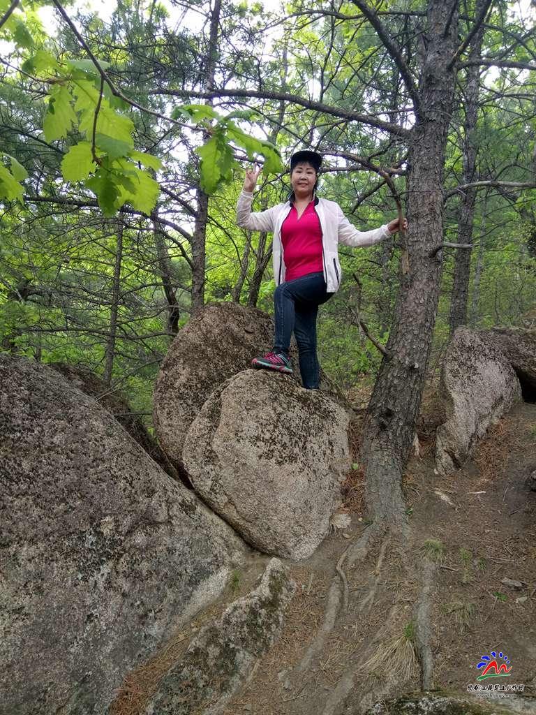 微信图片_20180513195729