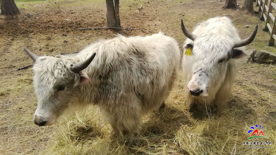 微信图片_20180513110246