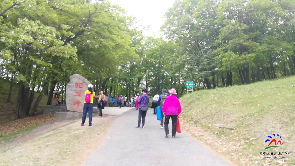 微信图片_20180513110945