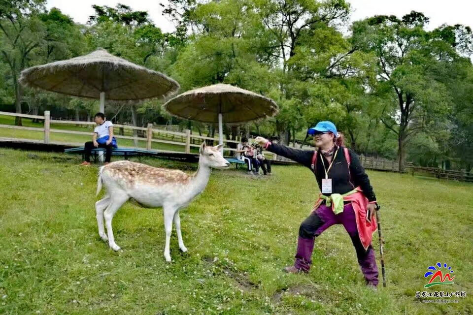 微信图片_20180518122215