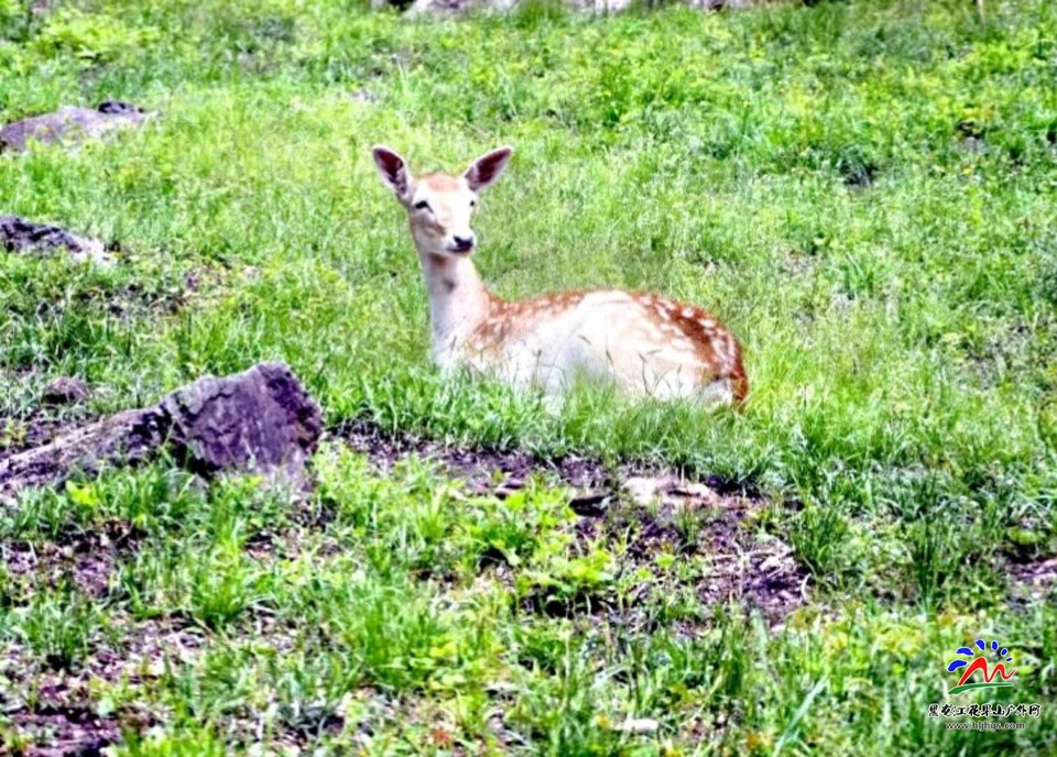 微信图片_20180518122218