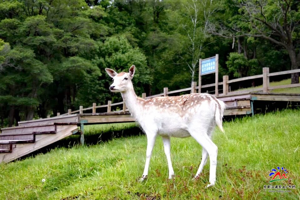 微信图片_20180518122221