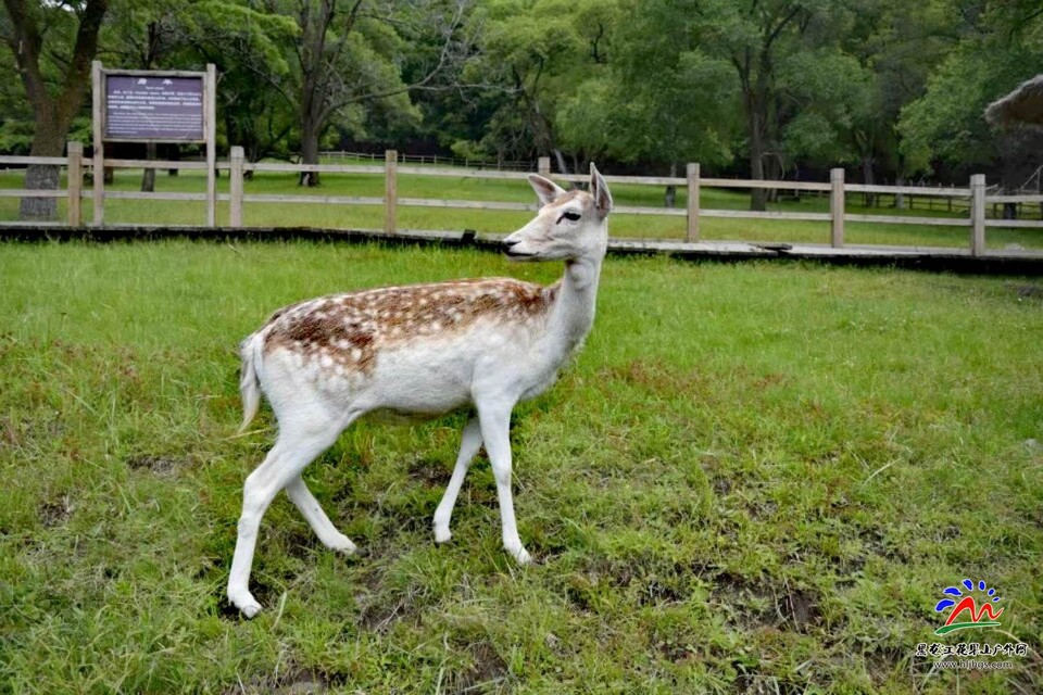 微信图片_20180518122224