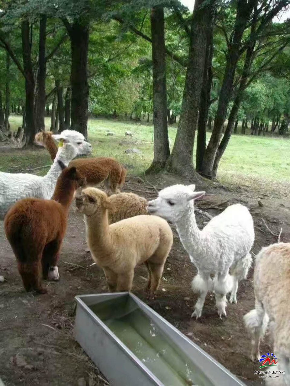 微信图片_20180518201604