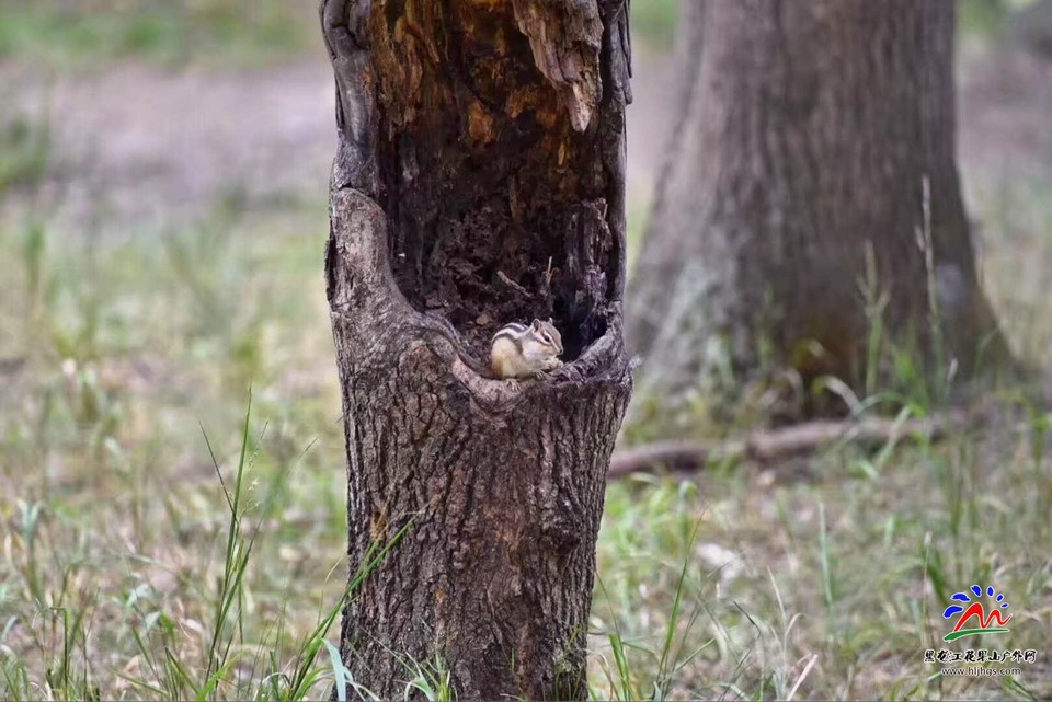 微信图片_20180518201723