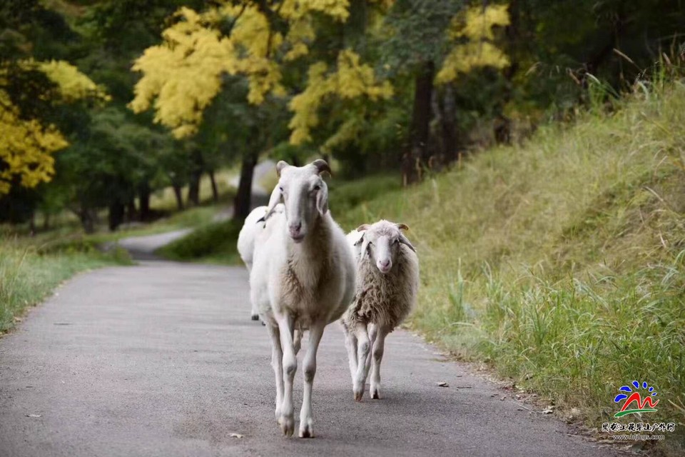 微信图片_20180518201726