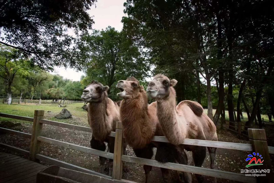 微信图片_20180518201731