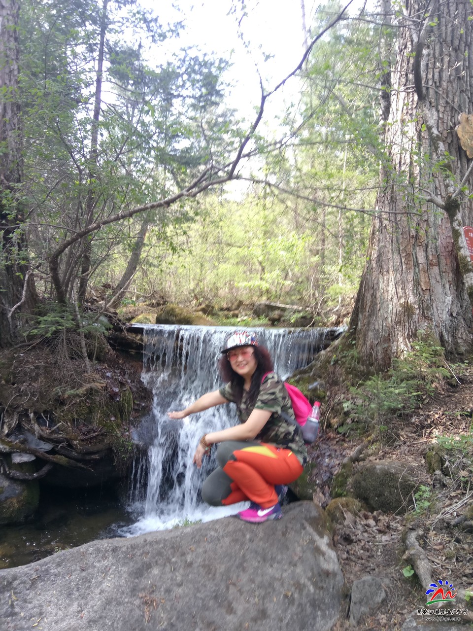 微信图片_20180512214618