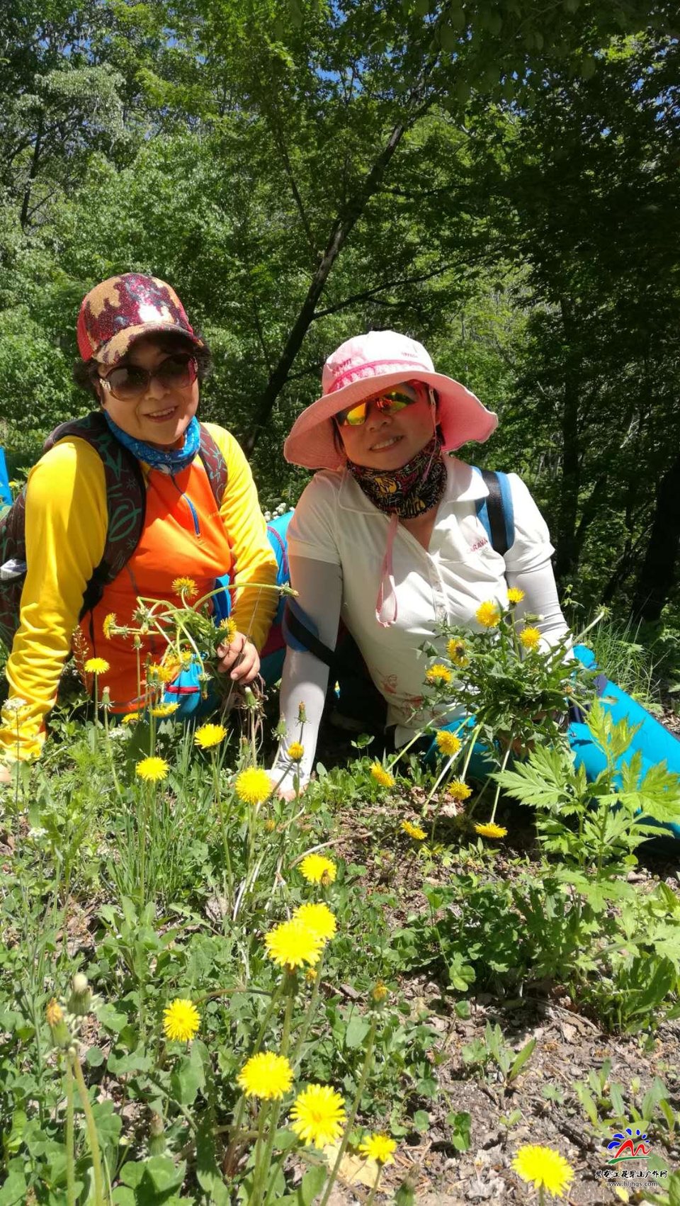 微信图片_20180519151750